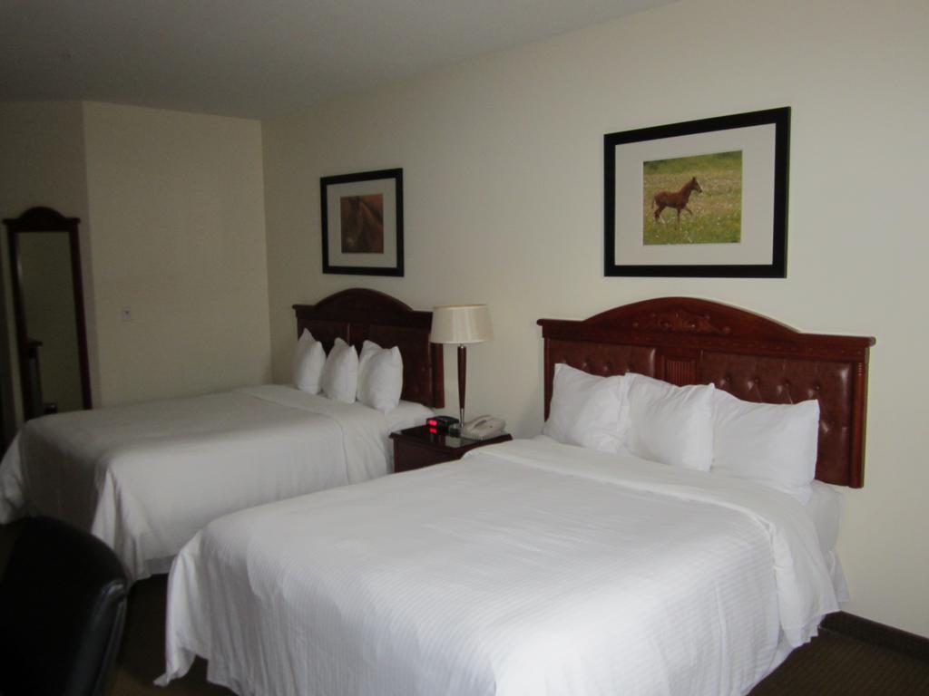Trend Mountain Hotel & Conference Centre Tumbler Ridge Pokój zdjęcie